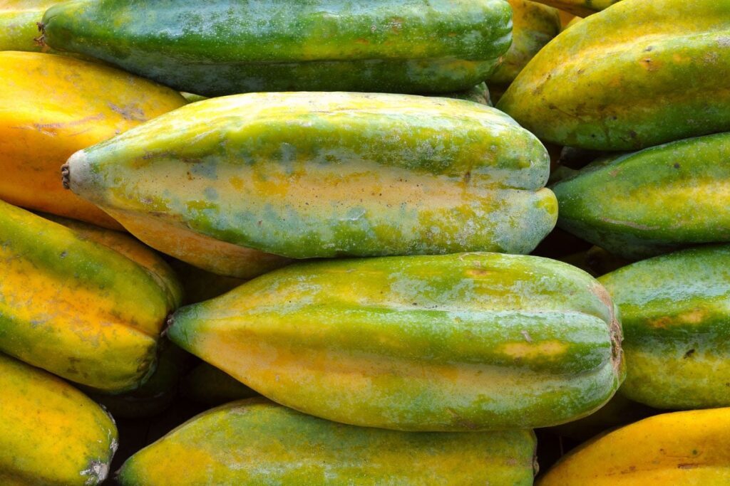 Fruit en B : Liste des fruits qui commencent par un B