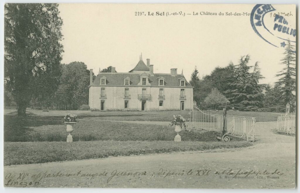 Le sel de château.