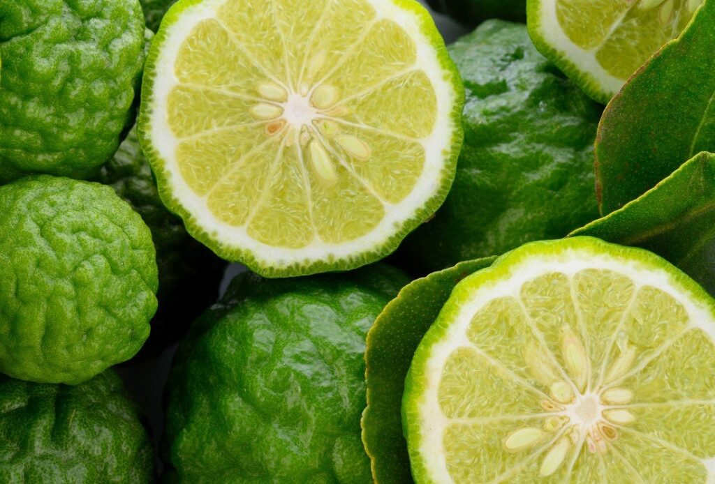 Qu’est-ce que le thé à la bergamote ?
