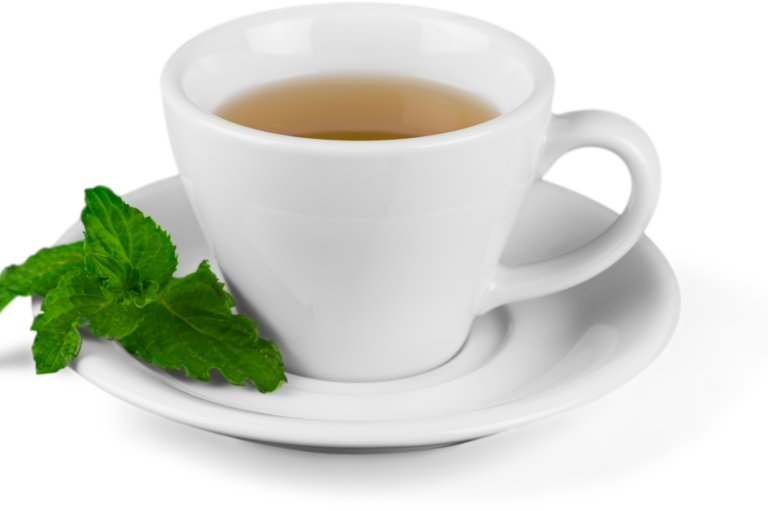 tasse de thé menthe